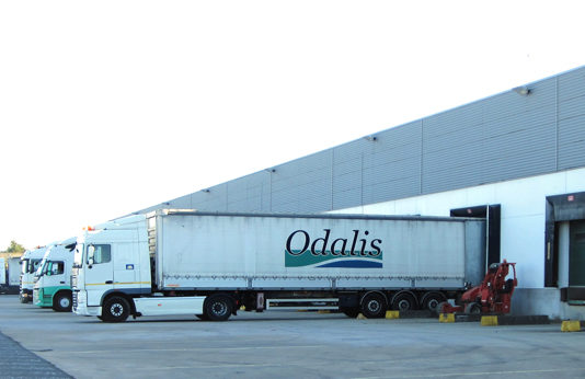 cropped-odalis-camion-sur-parking.jpg